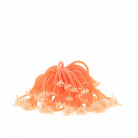 Коралл (альвеопора) на керамической основе (силиконовый, оранжевый, 13х13х10см) на фото