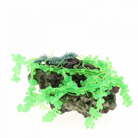 Декоративный коралл (пластик+силикон) (22х18х10) на фото