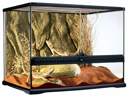 Террариум Hagen (стеклянный, 60x45x30см) на фото