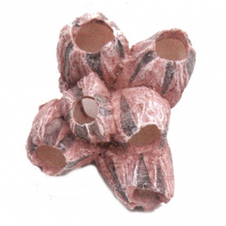 Коралл Балянус (пластиковый, 9х8х7 см) на фото