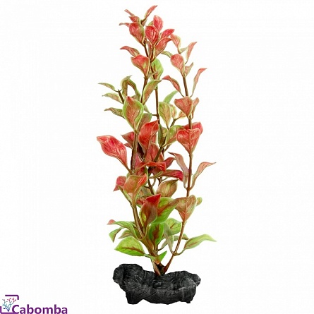 Растение пластиковое TETRA DecoArt S Людвигия красная (15 см) на фото