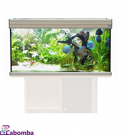 Прямоугольный аквариум "EVASION" фирмы AQUATLANTIS (101*40*55 см/дуб отбеленный/190 литров)     на фото