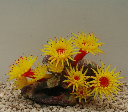 Декоративный коралл из силикона жёлтого цвета (SH208Y) фирмы Vitality (20х12х14 см)  на фото