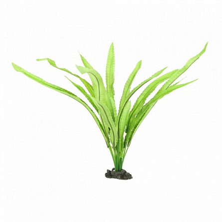 Растение шелковое PRIME (Криптокорина Балансе) 20см на фото