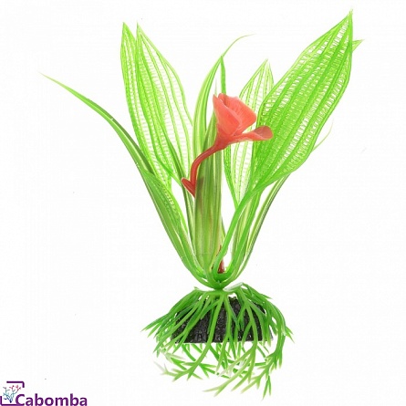 Растение пластиковое Barbus Апоногетон курчавый (10 см) на фото