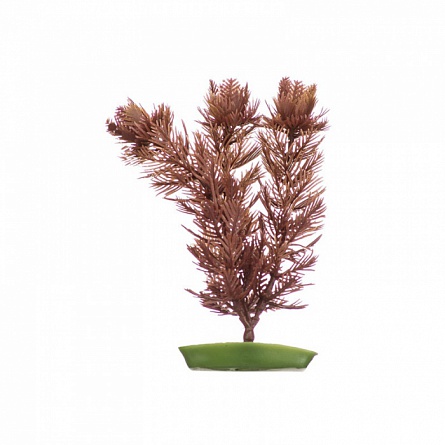 Декоративное растение для акваскейпинга "Перистолистник"  (38 см) фирмы HAGEN на фото