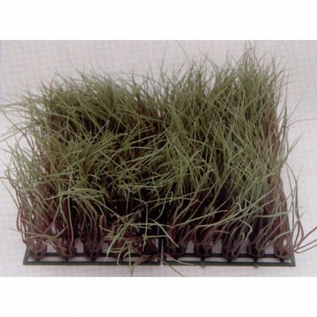 Растение "Коврик" (пластиковое,  12,5х25см, зеленое 83004_12.5) на фото