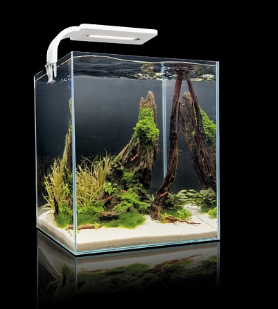Аквариум Shrimp Set 30 SMART LED PLANT II для креветок и крабов фирмы Aquael  (29*29*35 см/белый/30 л)  на фото