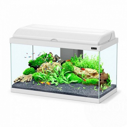 Прямоугольный аквариум AQUATLANTIS AQUADREAM 60 LED (60х30х40 см/белый/54 л) на фото