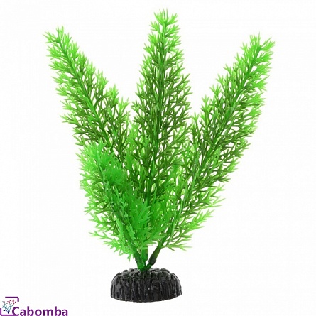 Растение пластиковое Barbus Роголистник (20 см) на фото