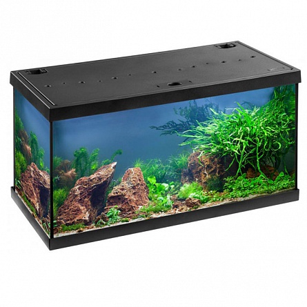 Прямоугольный аквариум EHEIM AQUASTAR LED (63х33х36 см/черный/54 л)  на фото