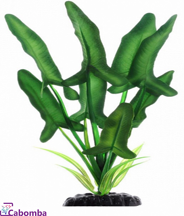 Растение PRIME Анубиас Хастифолия (шелковое - 20см) на фото