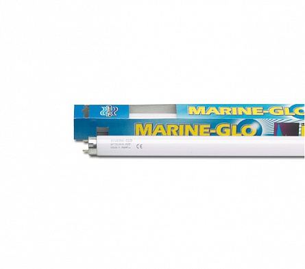 Люминесцентная лампа Т8 (актиничный свет) "Marine Glo" фирмы Hagen (30W/89.46cm/6.718К) на фото
