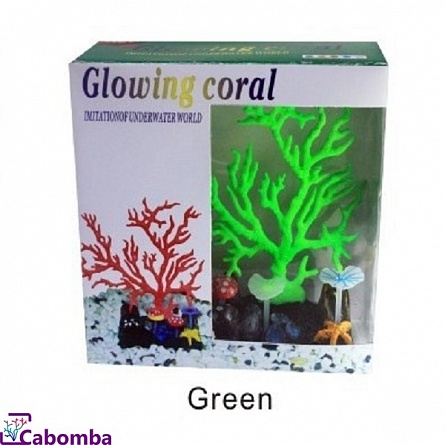 Коралл "светящийся" зеленый 16х16см на фото