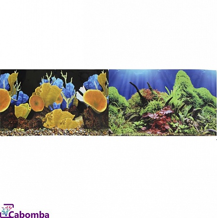 Двусторонний фон “Морские кораллы/Подводный мир” фирмы Prime (50х100 см)  на фото