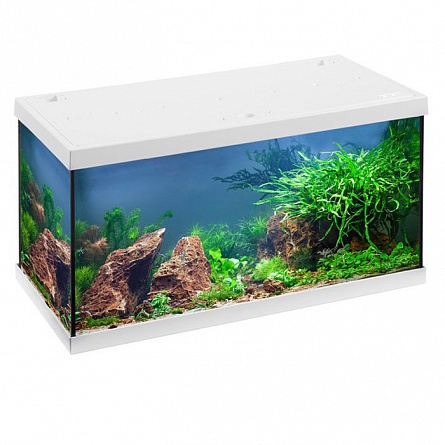 Прямоугольный аквариум EHEIM AQUASTAR LED (63х33х36 см/белый/54 л) на фото