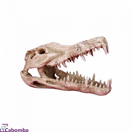 Декорация пластиковая "Череп крокодила" фирмы Prime (25х11.2х15.2 см)   на фото