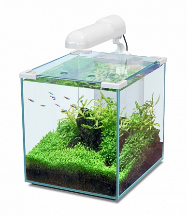 Нано-аквариум NANO CUBIC 30 с LED-освещением фирмы AQUATLANTIS (28x32x44 см/белый/30 литров)     на фото