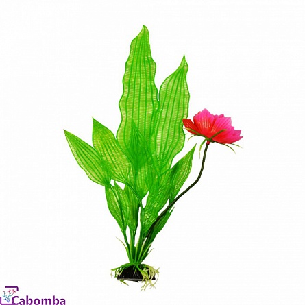 Пластиковое растение Апоногетон мадагаскарский 20 см фирмы Barbus на фото