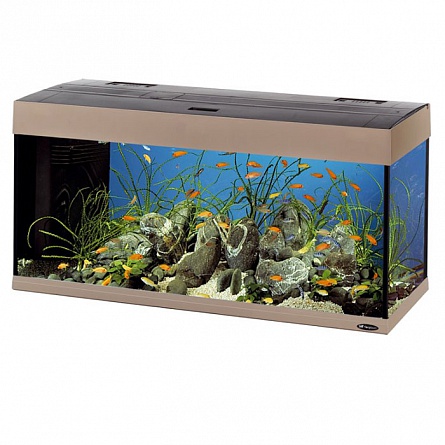 Прямоугольный аквариум FERPLAST DUBAI 100 (101x41x53 см/бежевый/190 л) на фото