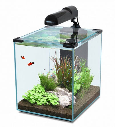 Нано-аквариум NANO CUBIC 40 с LED-освещением фирмы AQUATLANTIS (30x35x48 см/черный/40 литров)  на фото