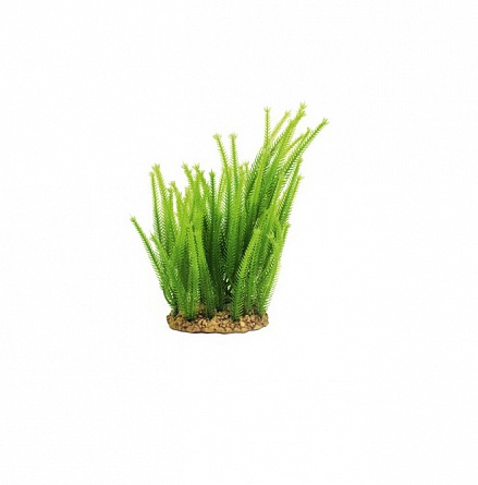 Декоративное растение из пластика "Майяка" фирмы  ArtUniq (20 см) на фото