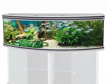 Панорамный аквариум "EVASION HORIZON 200" с освещением Т5 2х80Вт фирмы AQUATLANTIS (200х67х60 см/черный/615 литров)  на фото