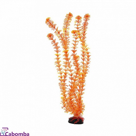 Пластиковое растение Кабомба оранжевая фирмы Barbus (20 см) на фото