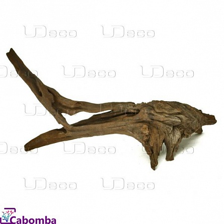 Комплект маленьких коряг фирмы UDECO "Chinese Driftwood XXXS" (от 5 до 10 см)  на фото