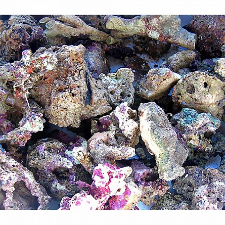 Камни живые - Индонезия (мелкие/бой), Live rocks (кг.) на фото