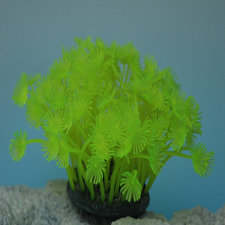 Коралл (силиконовый, желтый, 7.5х7.5х10см) на фото