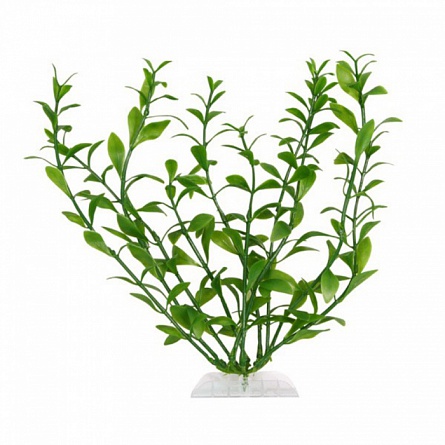 Растение Tetra "Гигрофила" (пластиковое, 30см) на фото
