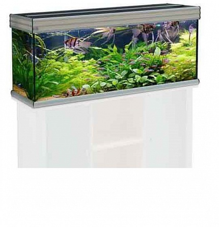 Прямоугольный аквариум "EVASION" фирмы AQUATLANTIS (120*60*75 см/дуб отбеленный/485 литров) на фото