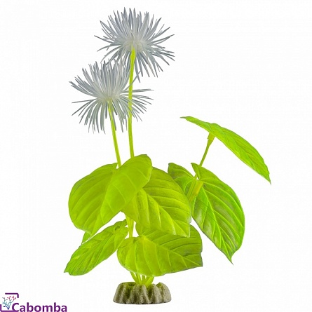 Растение GLOFISH желтое флуоресцентное 29 см на фото