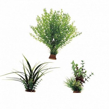 Декоративный набор растений из пластика  3 шт "Кариота, Акорус, Лизимахия" фирмы  ArtUniq (15-35 см) на фото