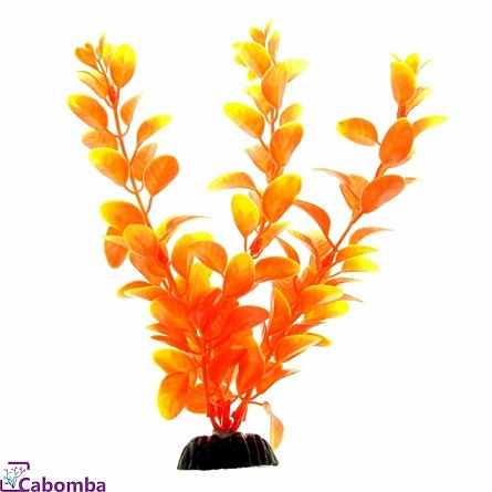 Растение пластиковое Barbus Людвигия оранжевая (20 см) на фото