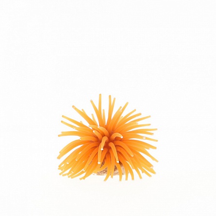 Коралл на керамической основе (силиконовый, оранжевый, 4.5х4.5х4см) на фото