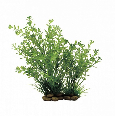 Декоративное растение "Ротала" из пластика фирмы ARTUNIQ, 20см  на фото