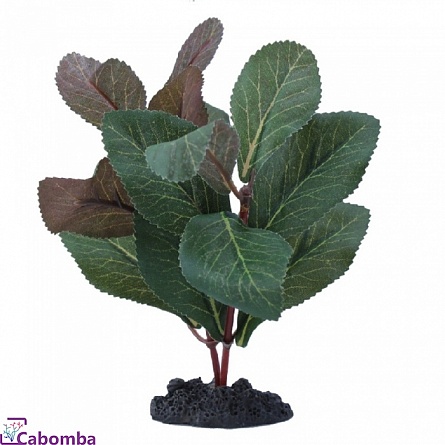 Растение шелковое PRIME Гигрофила (13см) на фото
