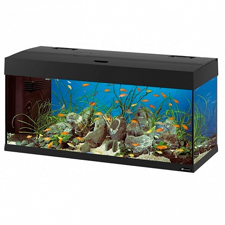 Прямоугольный аквариум FERPLAST DUBAI 100 (101x41x53 см/черный/190 л) на фото
