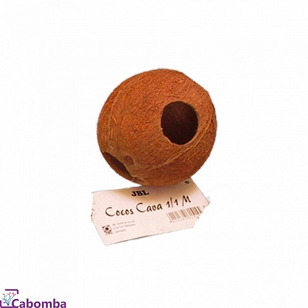 Натуральная кожура целого кокоса "CocosCava 3" фирмы JBL  на фото