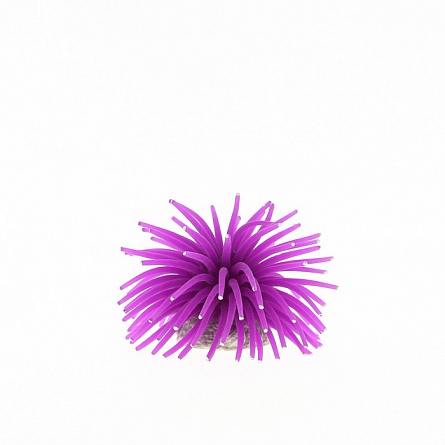 Декоративный коралл из силикона фиолетового цвета с керамической основой фирмы Vitality (4.5х4.5х4 см)  на фото