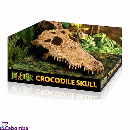 Декоративный грот для террариумов Череп крокодила фирмы Hagen EXO TERRA «Crocodile Skull» на фото
