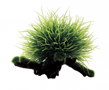 Искусственная растительная композиция на коряге "Пузырчатка" (15x12x12 см) марки Art Uniq  на фото