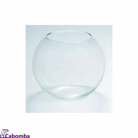 Аквариум шар (7,5 литров) на фото