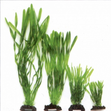 Растение "Валиснерия спиральная" (пластиковое, зеленое, 30см) на фото