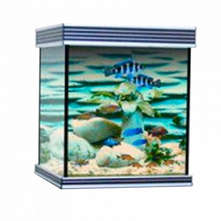 Кубический аквариум ANUBIAS B-600М (205 л) ЧЕРНЫЙ на фото