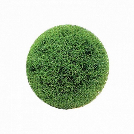 Растение "Коврик-шар" (пластиковое, D=9см, зеленое 1) на фото
