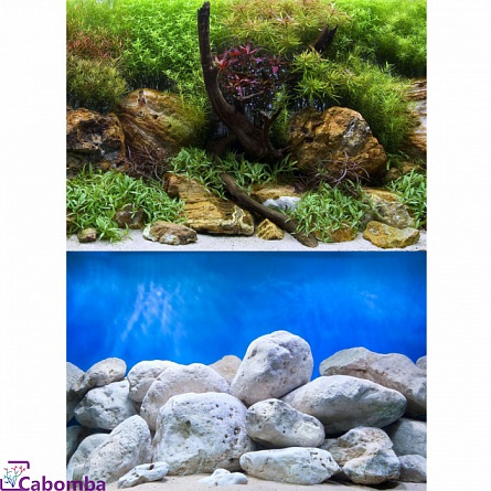 Фон Barbus двухсторонний водный сад/яркие камни (30см х15м) цена за 1 м. на фото