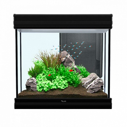 Кубический аквариум AQUATLANTIS FUSION 60 (60x40x60/черный/109 л) на фото